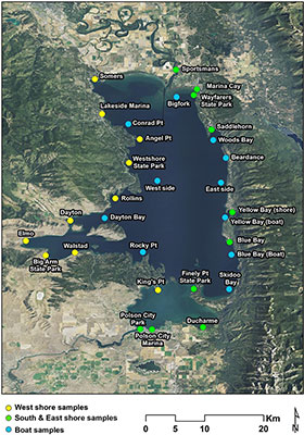Map of proposed zebra mussel sampling sites on Flathead Lake