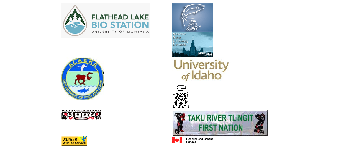 Single image of multiple project organization logos