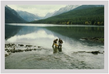 Water sampling in Glacier National Park, outlet of Bowman Lake