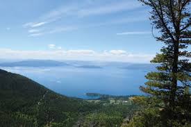 FLBS Research in PNAS