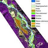 GIS map of habitat cover in the Nyack Floodplain, Middle Fork of the Flathead River