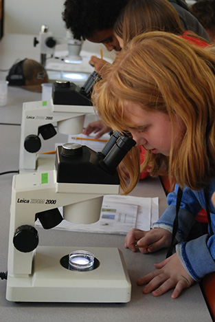 Student views water sample in a microscope