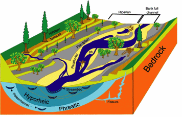 Shifting habitat mosaic (SHM) figure describing the changing nature of floodplains