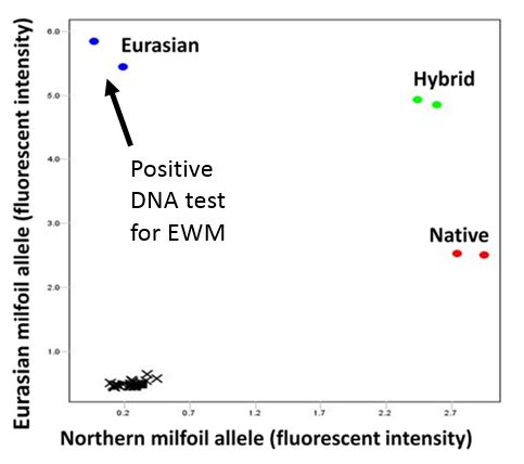 Plot of test results for Eurasian milfoil vs negative controls