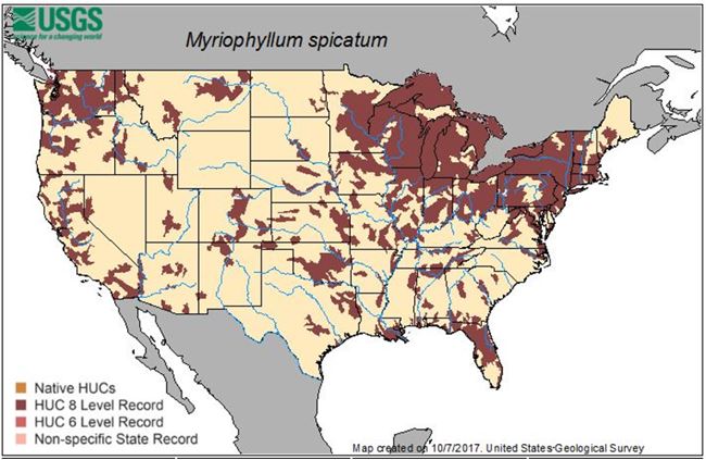 Map of invasive milfoil distribution in US