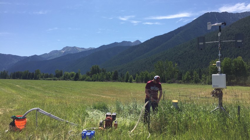 Solving a Stonefly Mystery