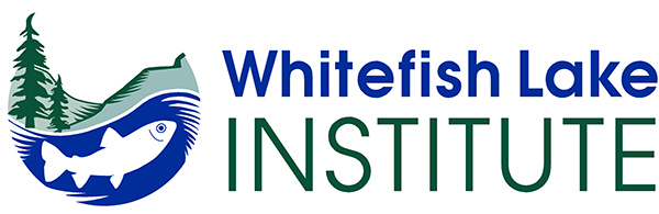 WLI logo