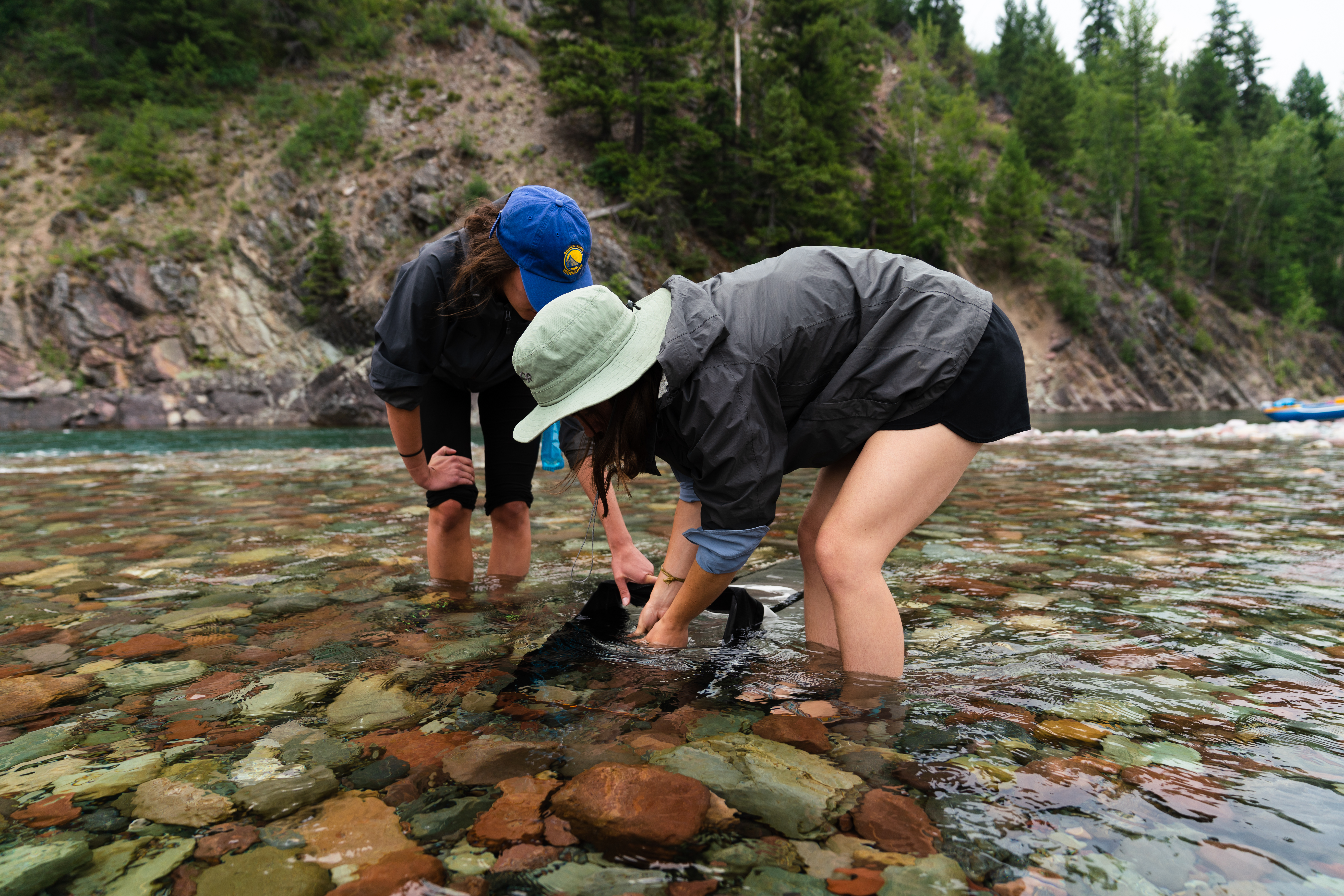 The FLBS Environmental Law Internship