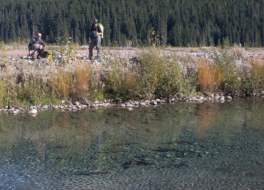Mining Risks to Salmon Rivers