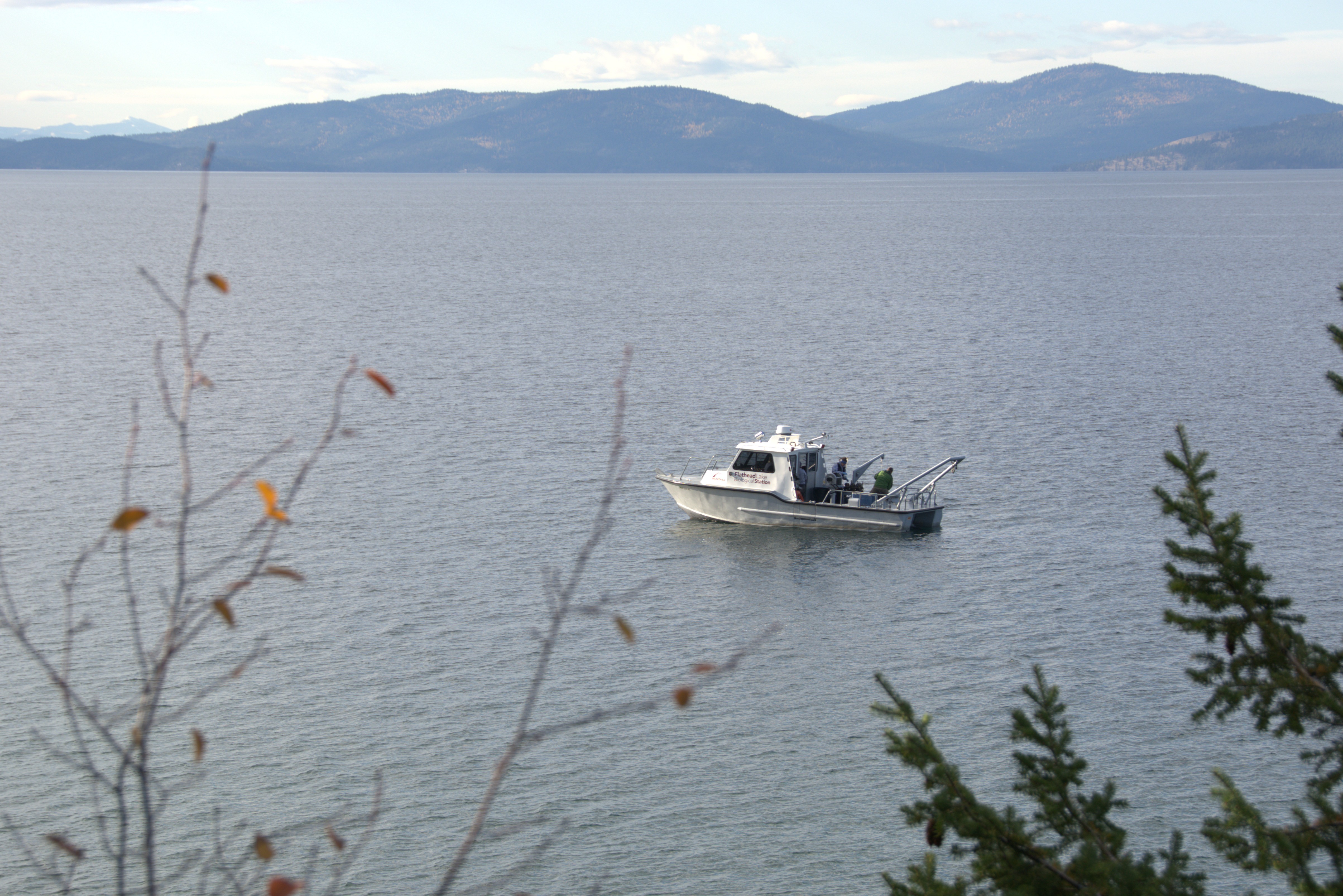 The 2025 FLBS AIS Report