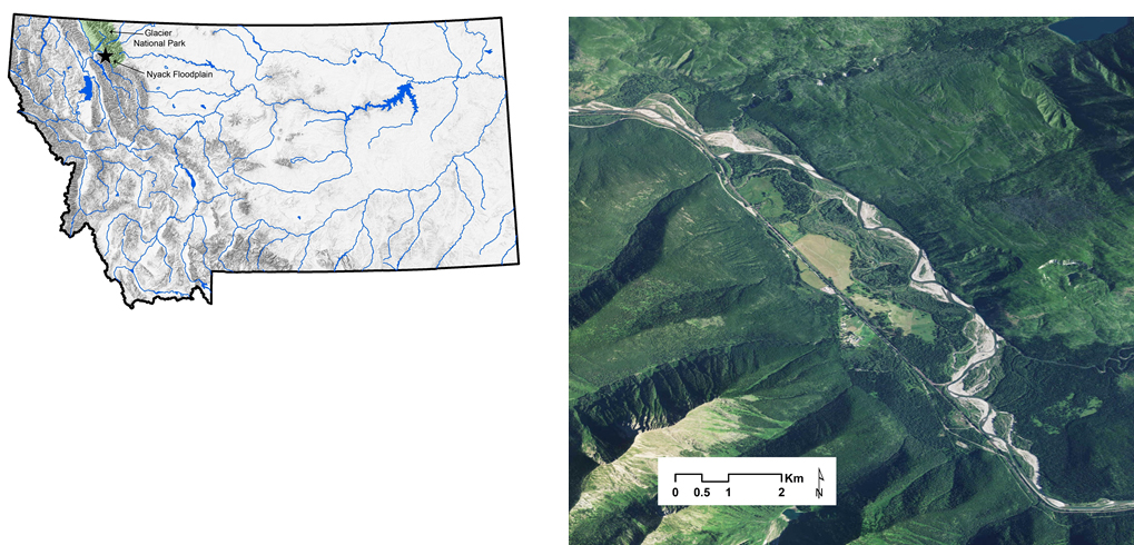 Nyack location within Montana map and satellite view of floodplain