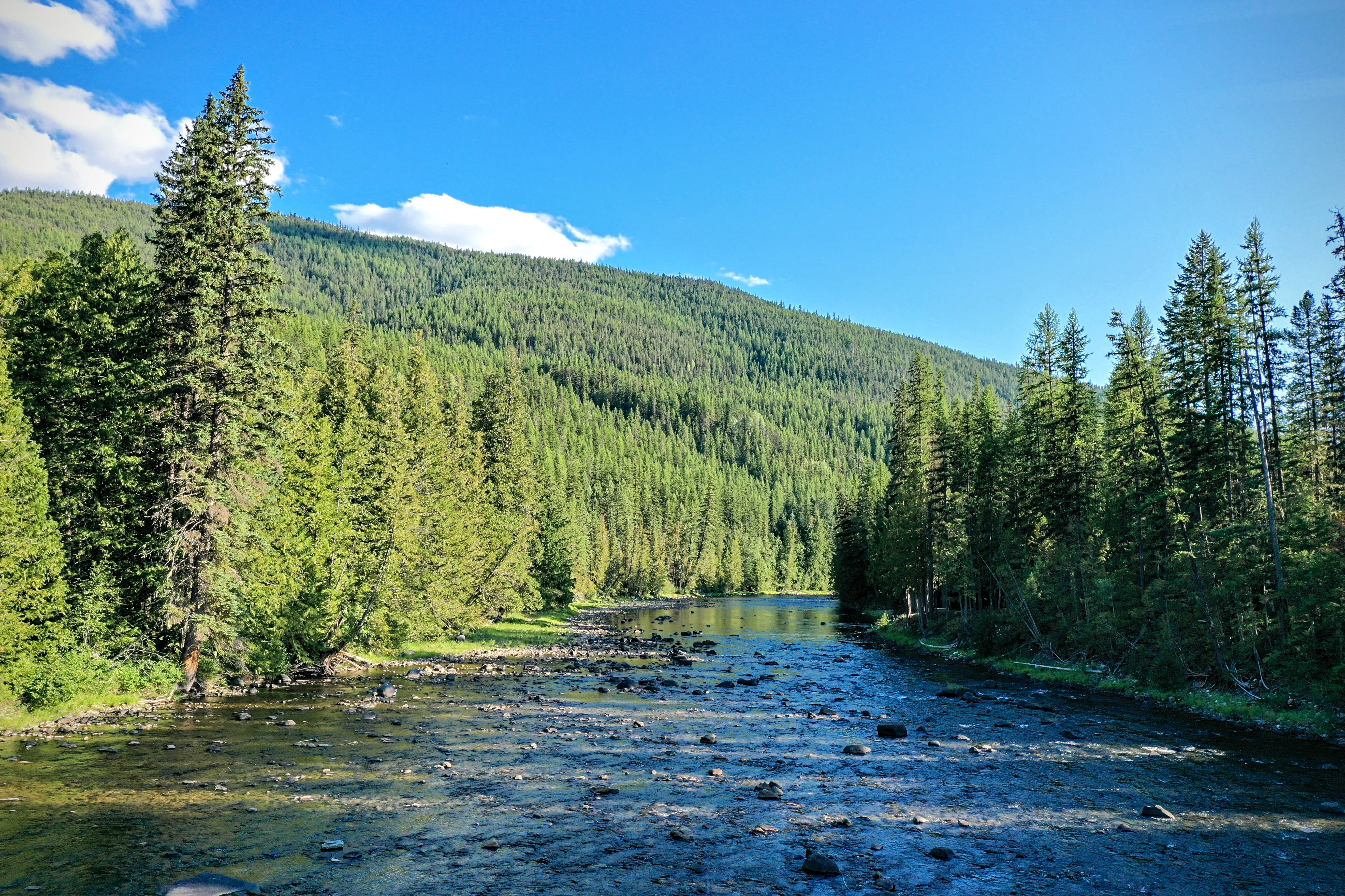 A river meandering down from a mountain with trees lining the river.