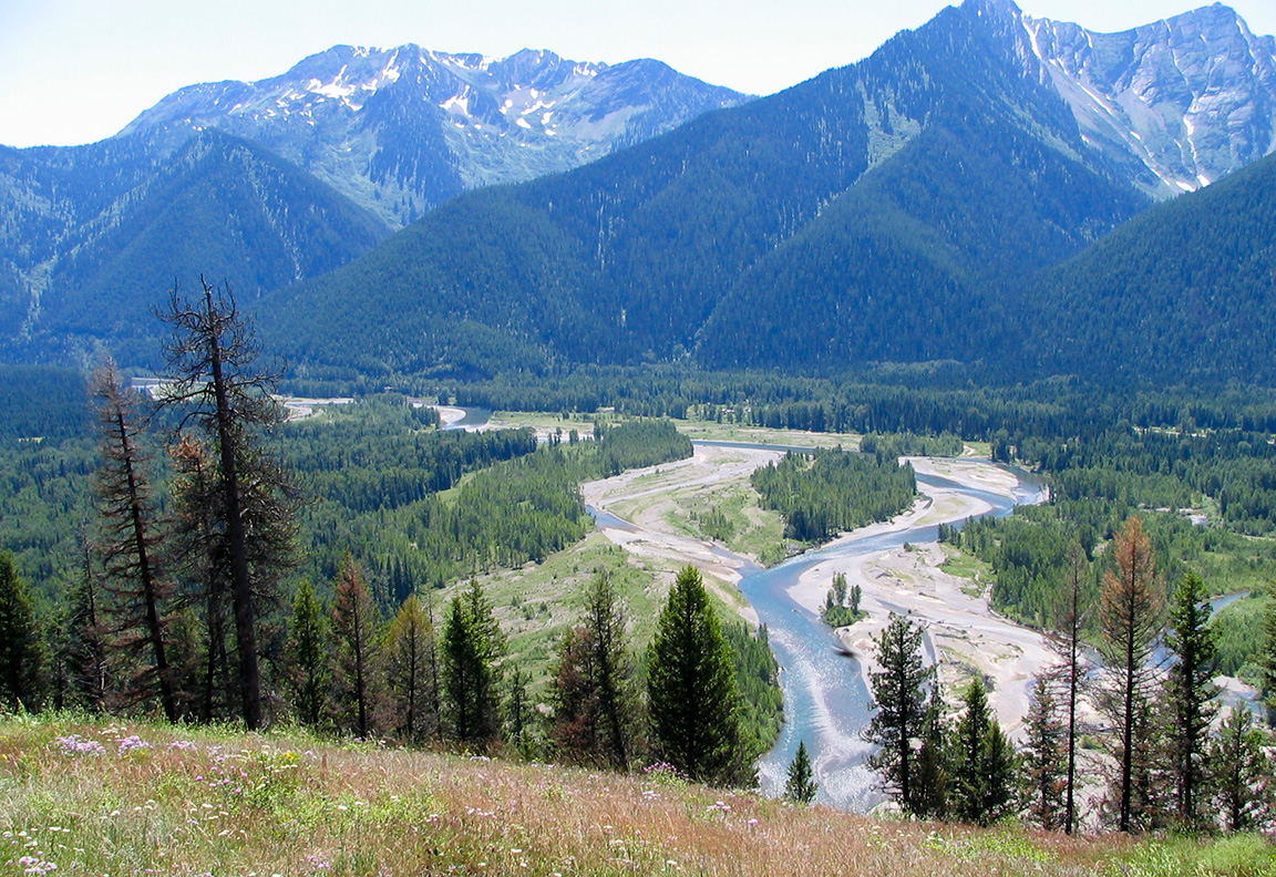 Elevated view of the Nyack river floodplain
