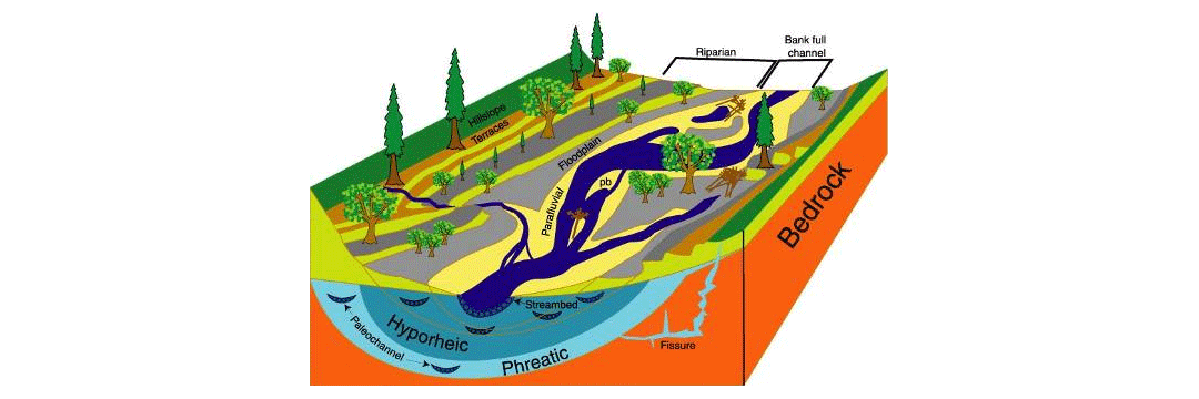 Diagram of the Shifting Habitat Mosaic.