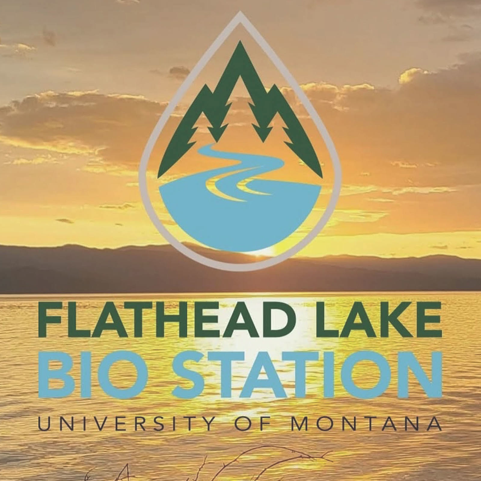 FLBS Director position information flyer; FLBS logo transposed over a Flathead Lake sunset