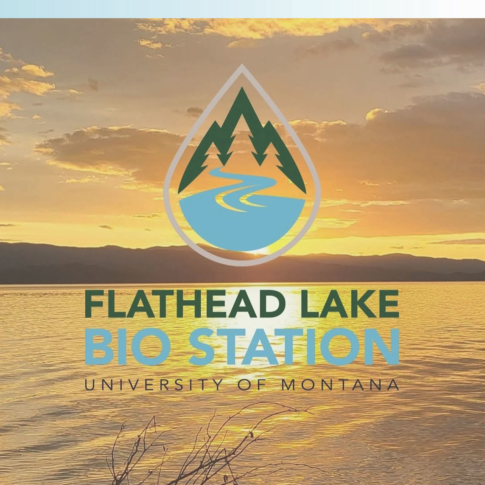 FLBS Director position information flyer; FLBS logo transposed over a Flathead Lake sunset