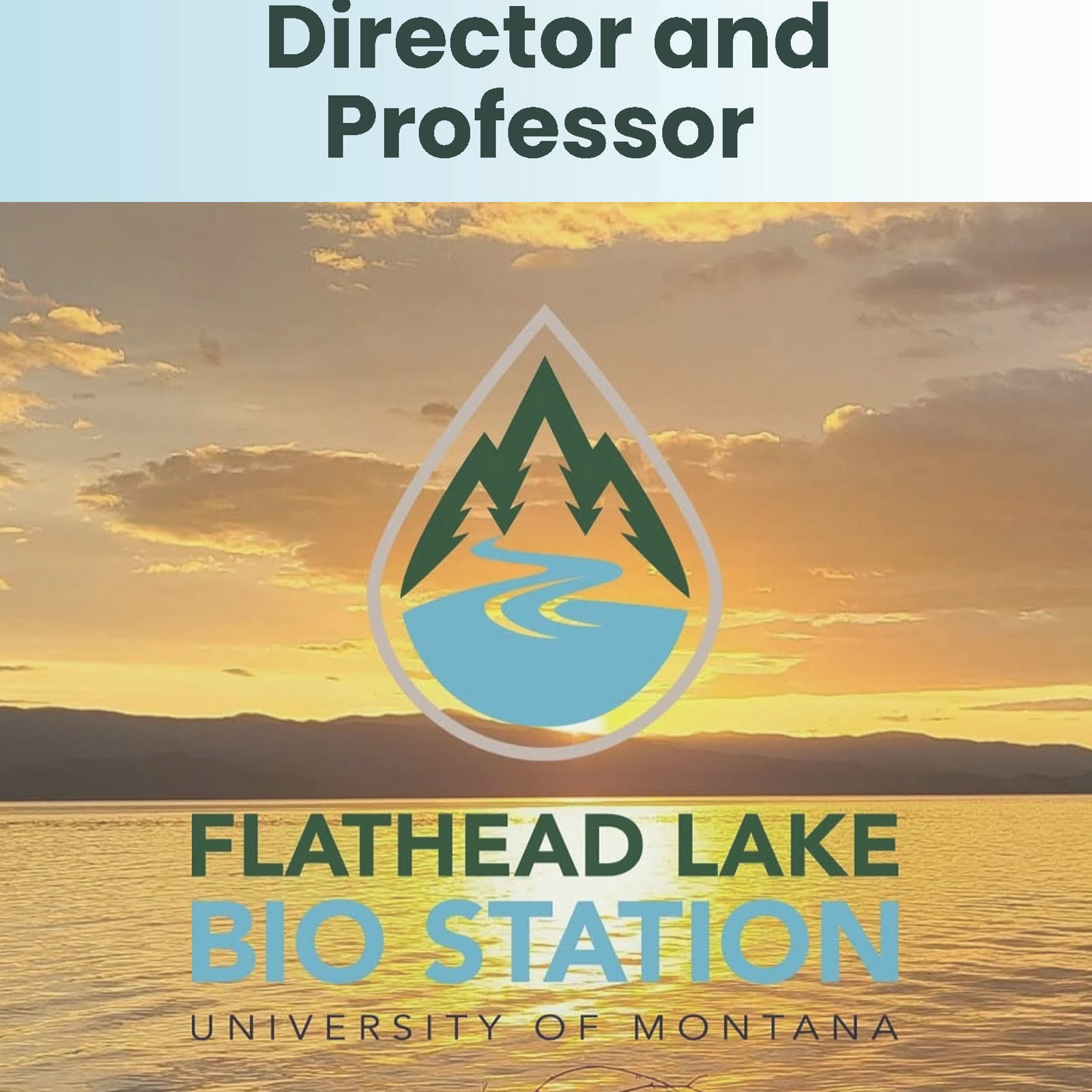 FLBS Director position information flyer; FLBS logo transposed over a Flathead Lake sunset
