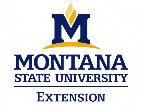 MSU Extension Office logo