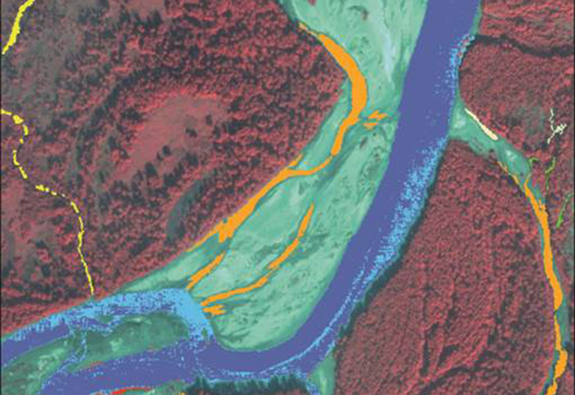 Satellite view of a river floodplain with colors indicating habitat layers