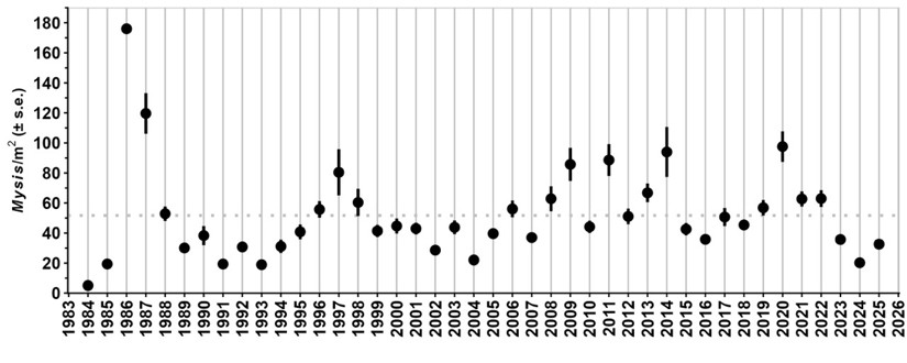 Graph showing Mysis shrimp populations in Flathead Lake over 50 year period.