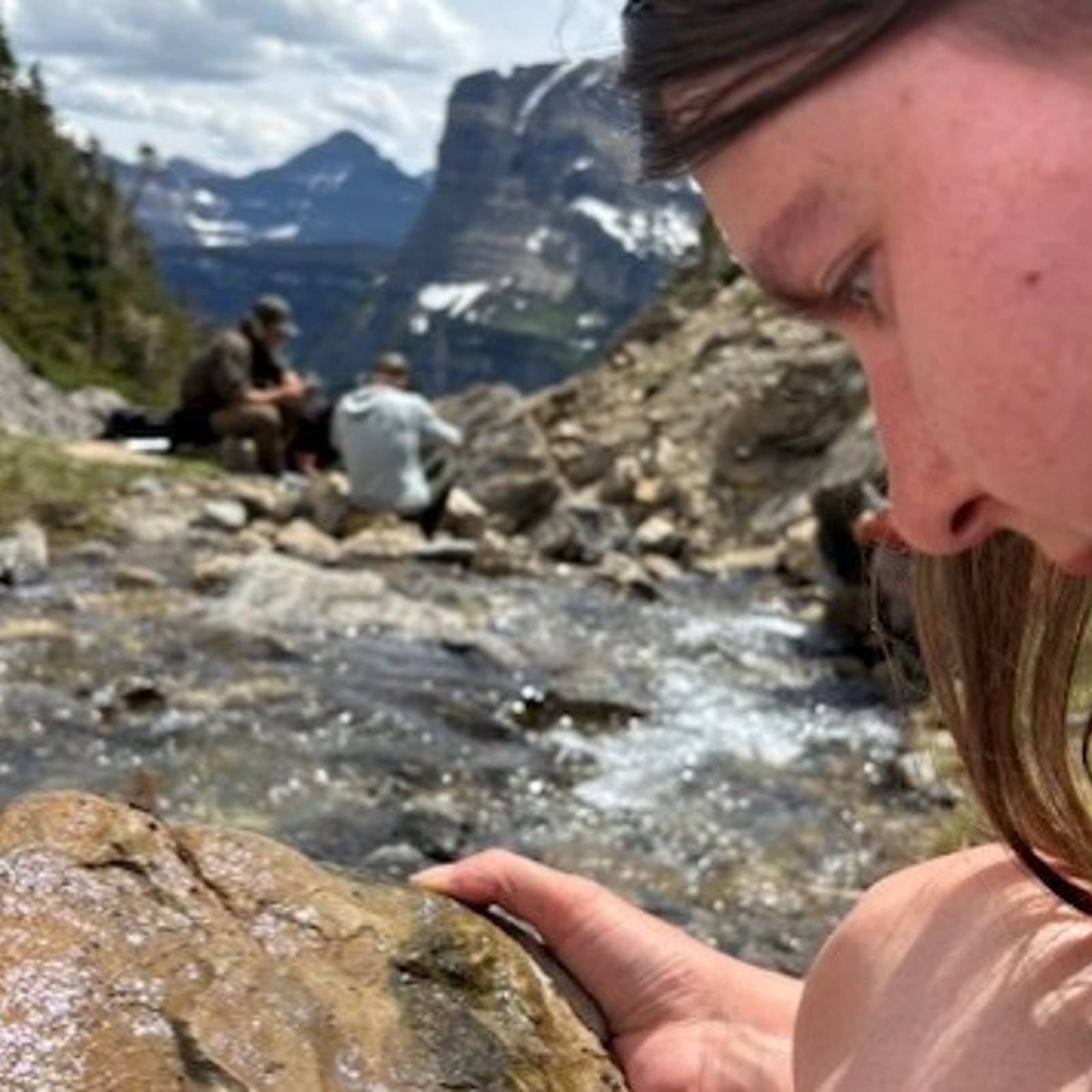 University of Montana senior Zoe Chamberlin searches for stoneflies at Lunch Creek in the mountains of Glacier National Park