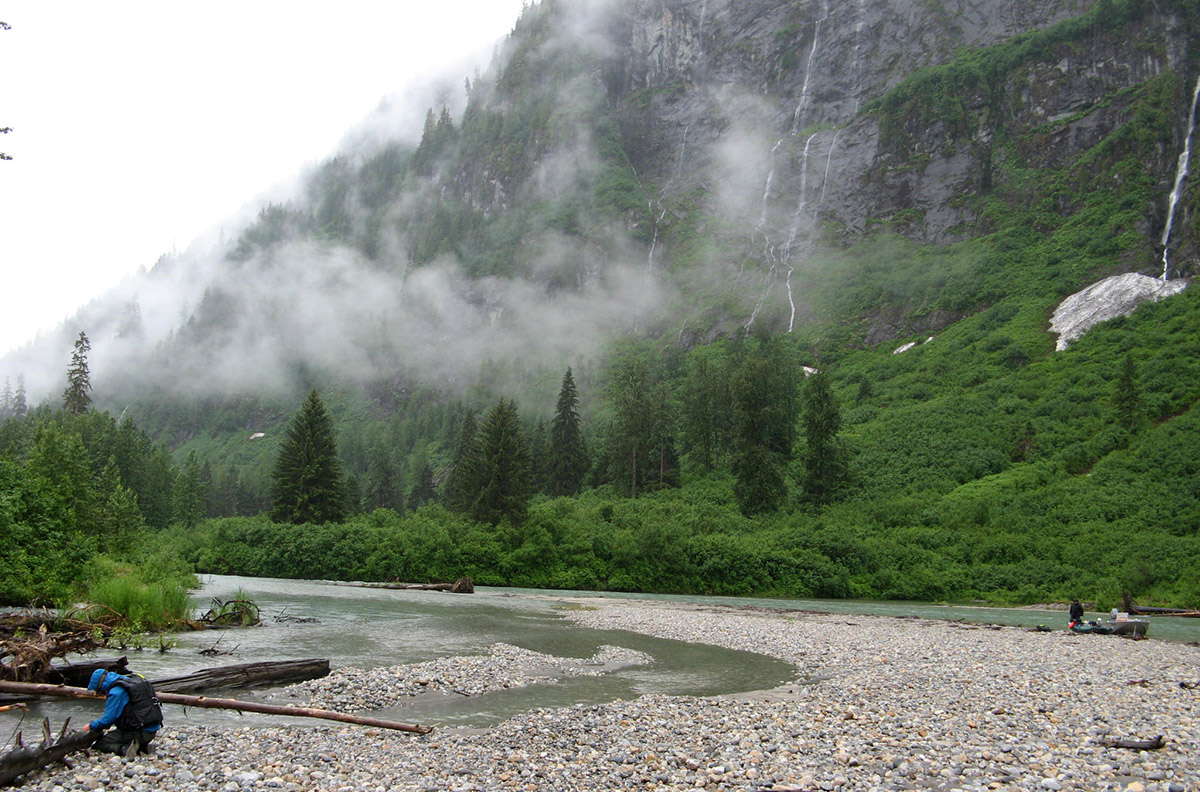 Researchers collect samples on a misty day from the Exchamsik River, B.C. Canada