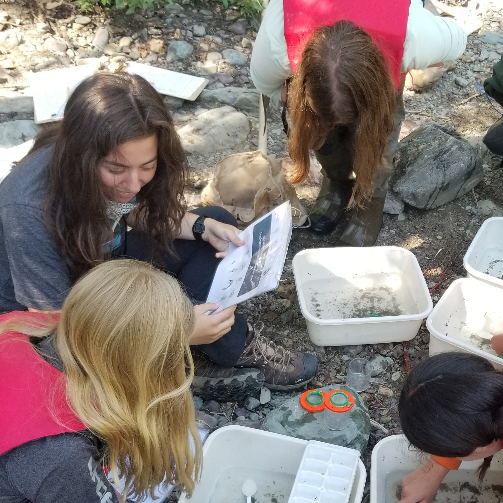 Abby keys water organisms with local students