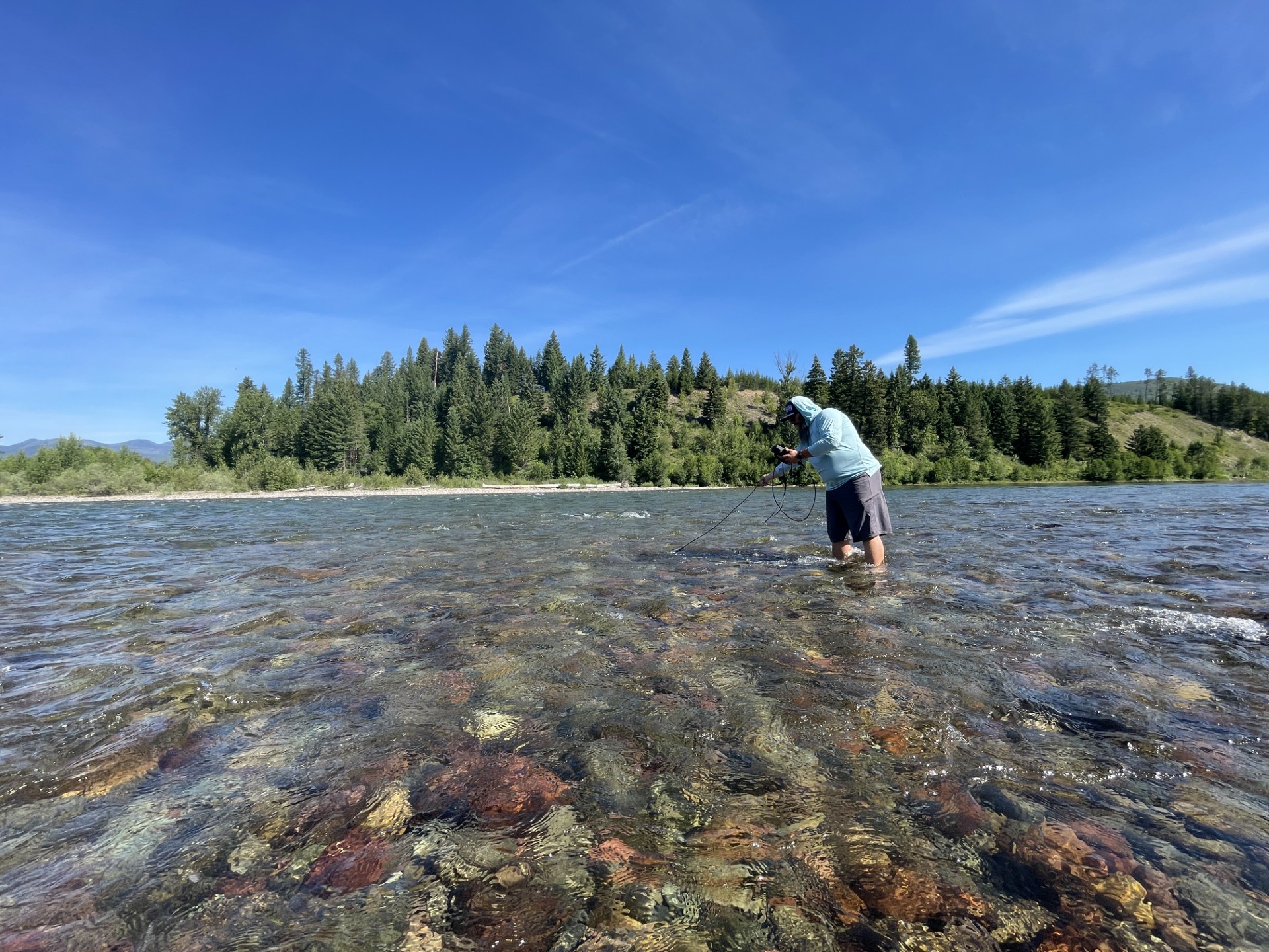 Flathead Rivers Alliance member standing in the North Fork River and collecting data with a YSI instrument.