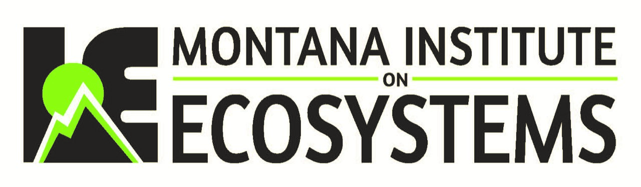 University of Montana Institute on Ecosystems logo