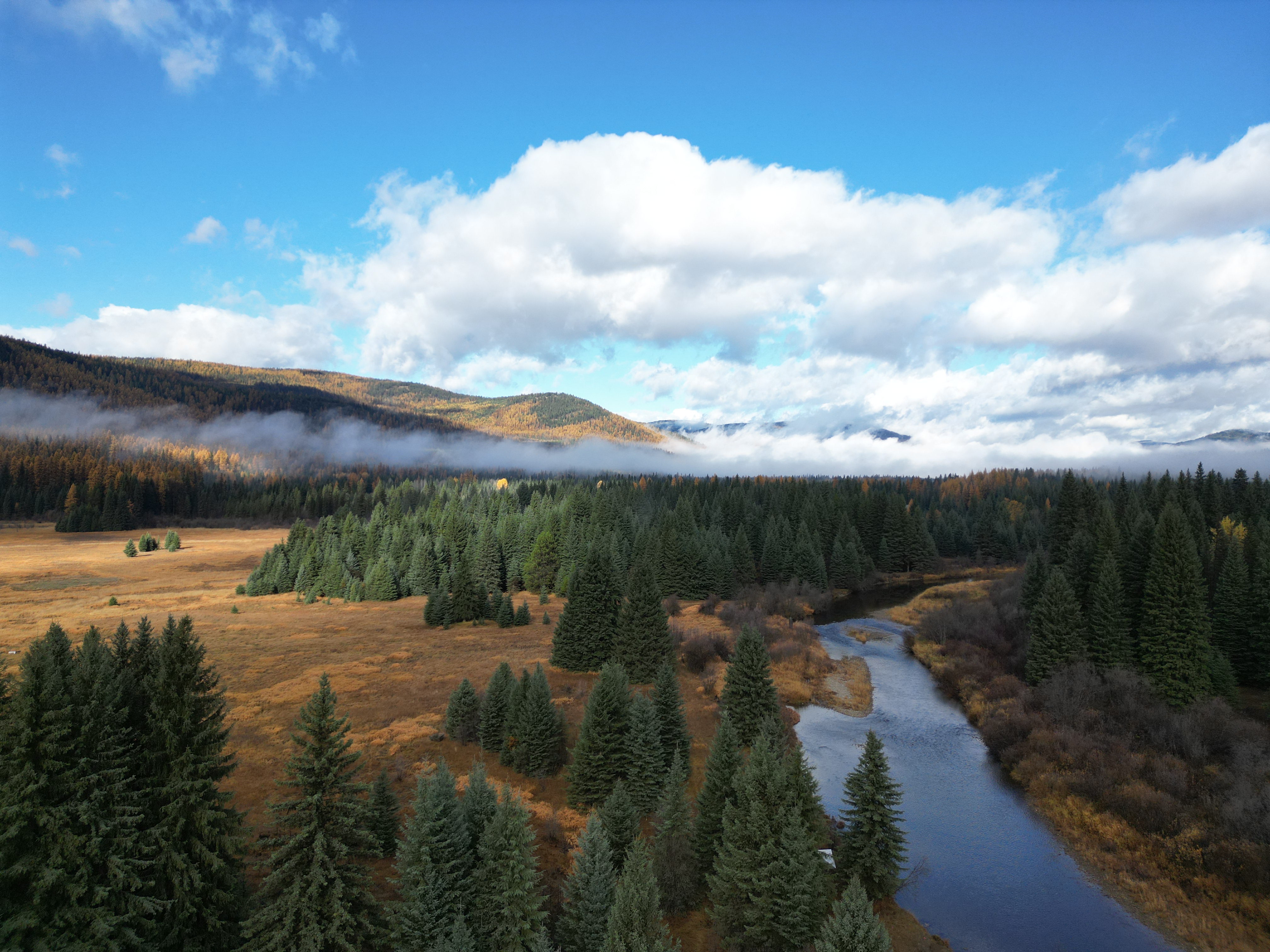 A watershed containing a river, forest, and mountain range in the distance.