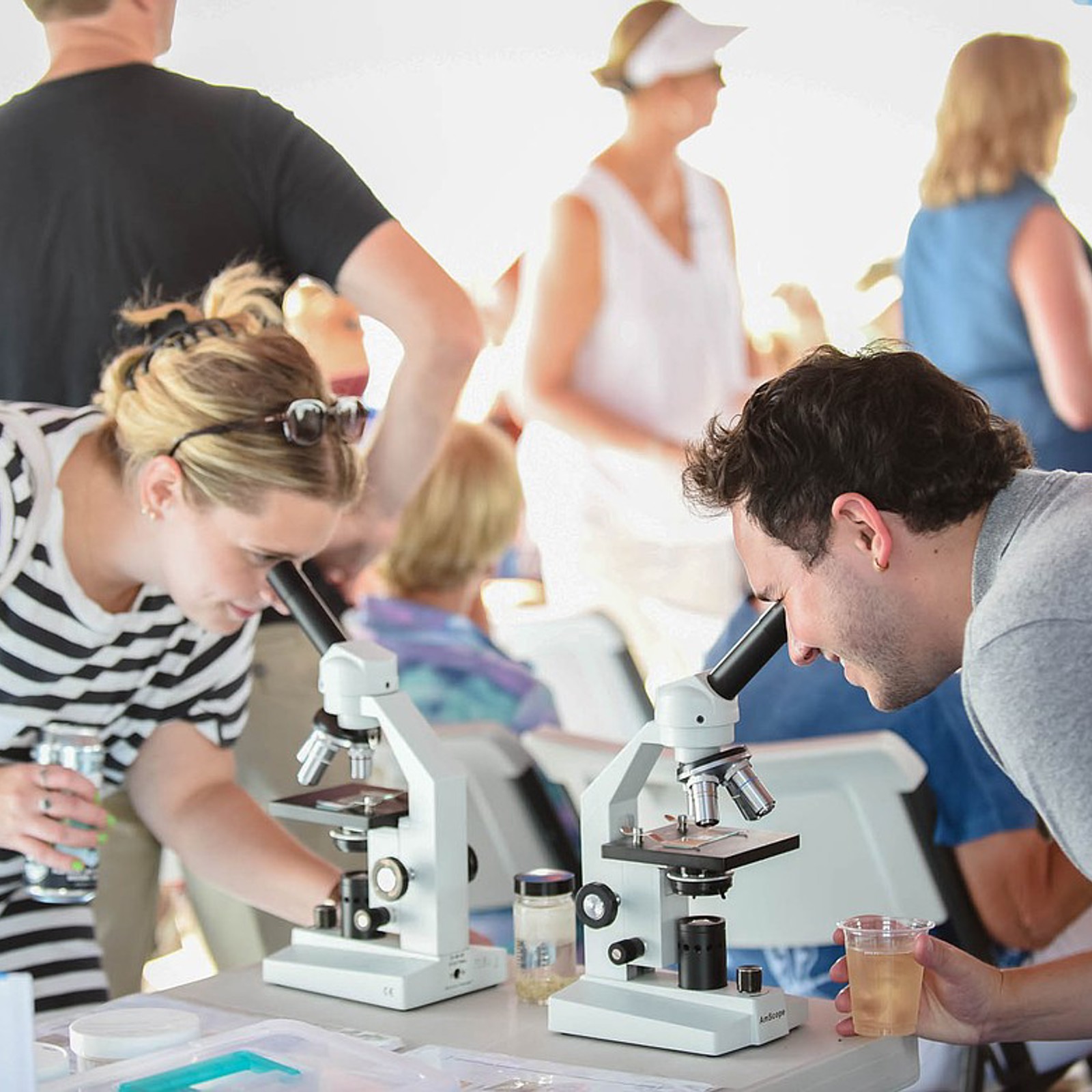 Cruise attendees view lake microorganisms through a microscope at the Flathead Lake Biological Station's annual research cruise. 