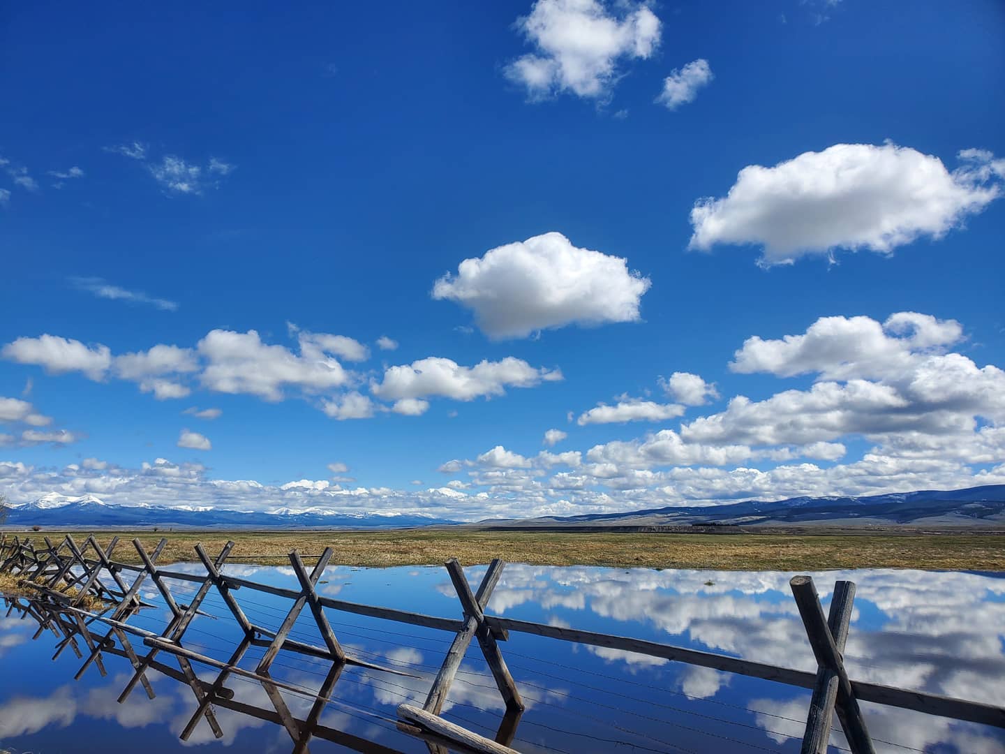 A river in a field with a wooden fence where Save Wild Trout collects water samples the North Fork.