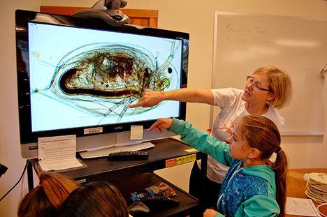 An instructor shows a student parts of a daphnia from an enlarged microscope view