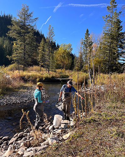 Staff and students collect samples from a stream on an autumn day