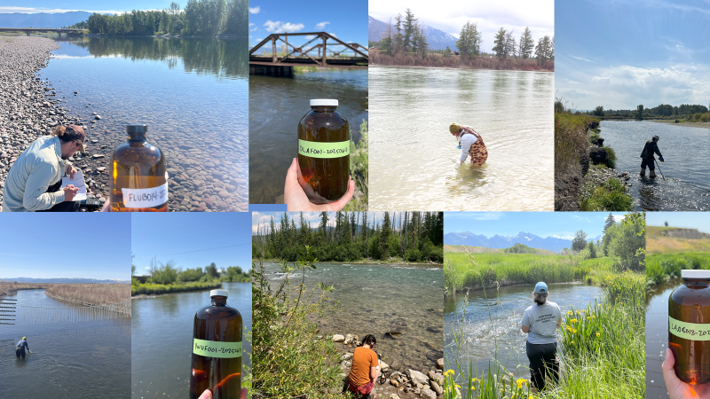 A collage of PSPP team members enjoying beautiful views during fieldwork.