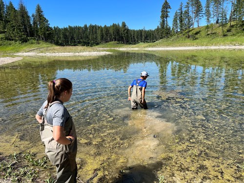 Bungum and Hendra inspect a snapping turtle trap