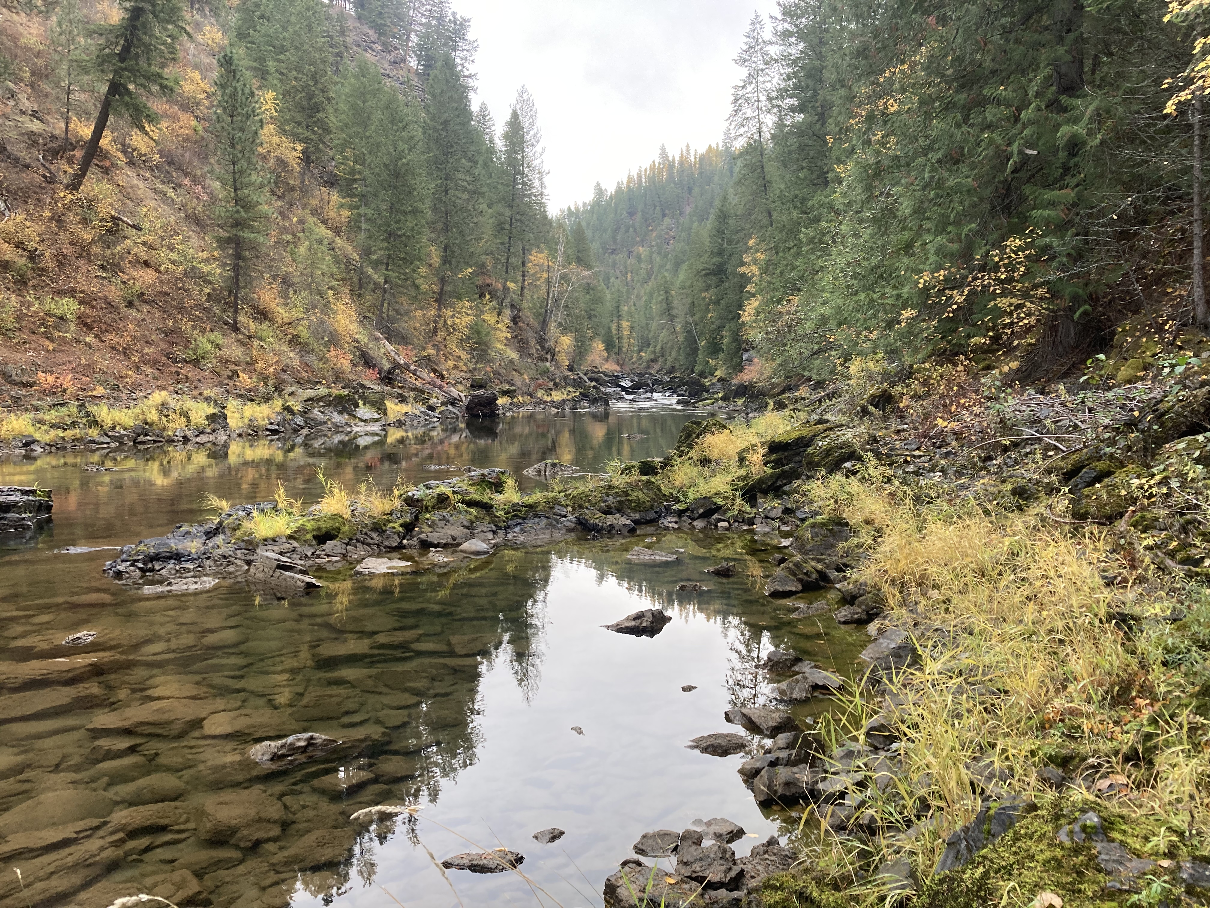 A river in the Yaak Valley Forest area in northwestern Montana.