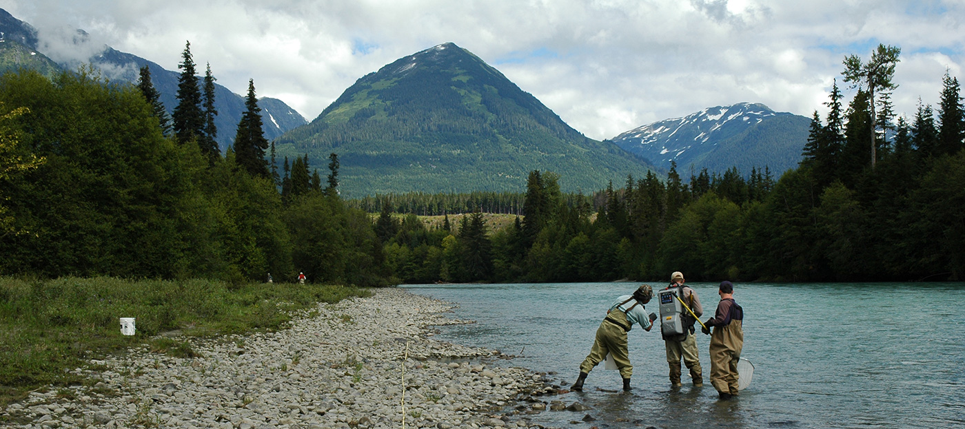 SaRON researchers conducting fieldwork in British Columbia in August 2007.