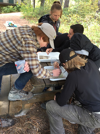 Students examine their water samples for macroinvertebrates