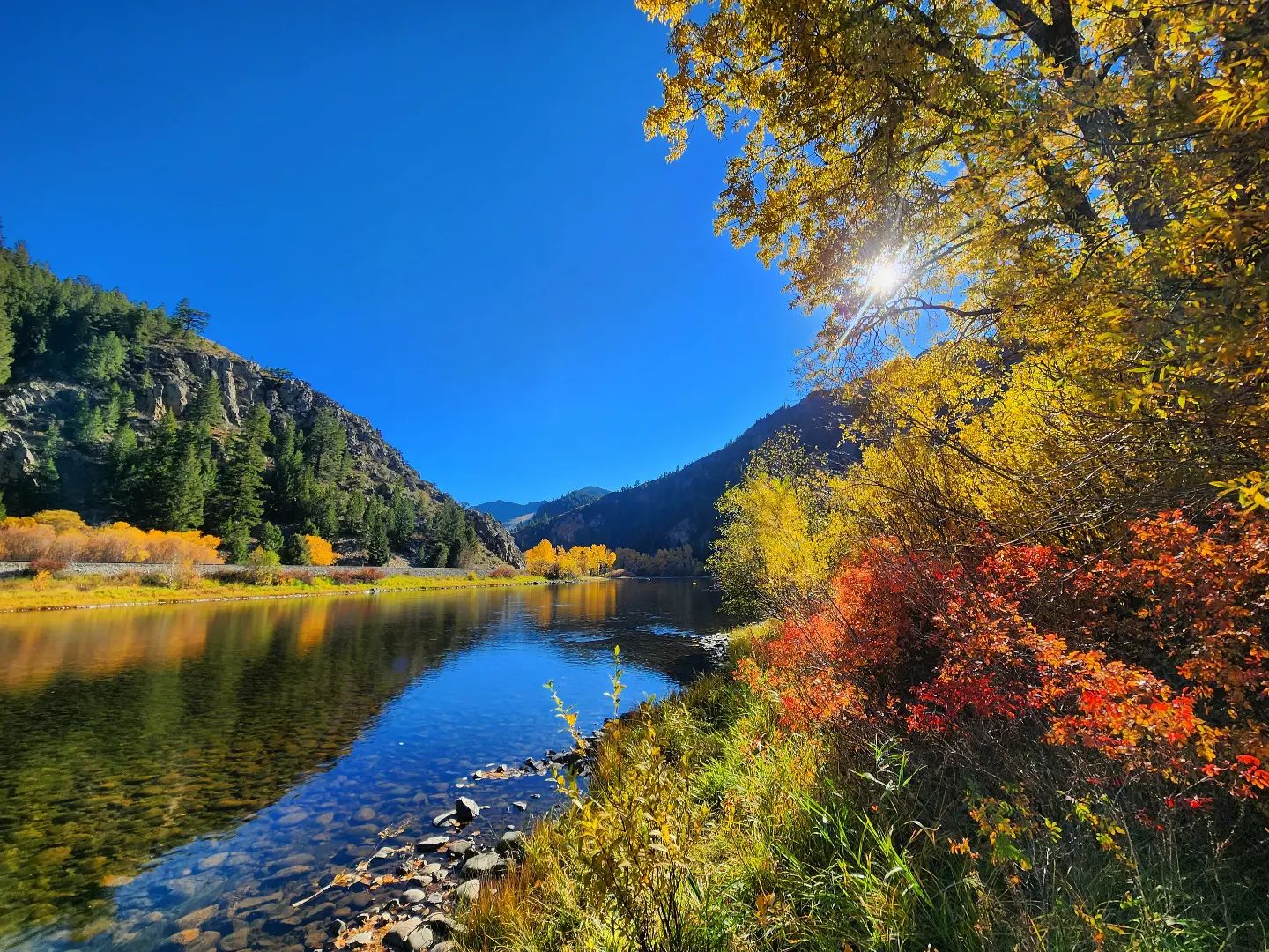Maidenrock river sampling site with autumn colors