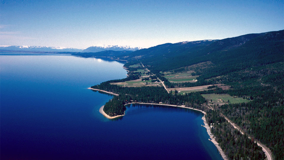 Director of Development