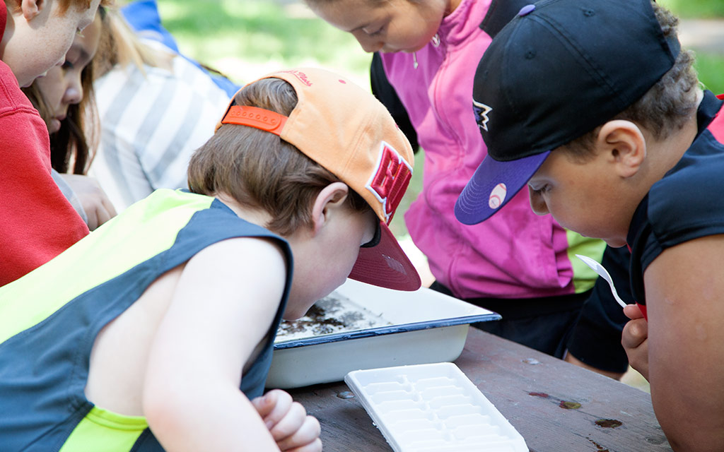 2024 Education Internship