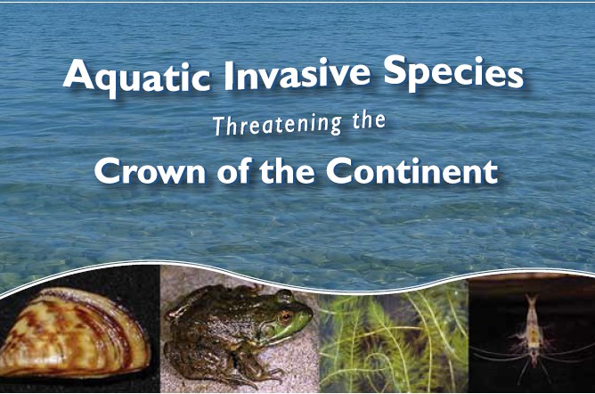 Aquatic Invasives Conference