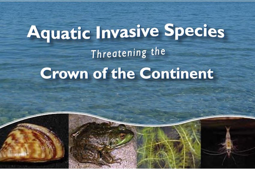 Aquatic Invasives Conference