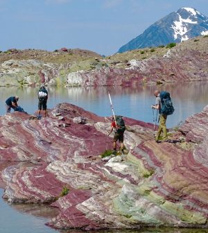 Foodwebs in Nascent Lakes