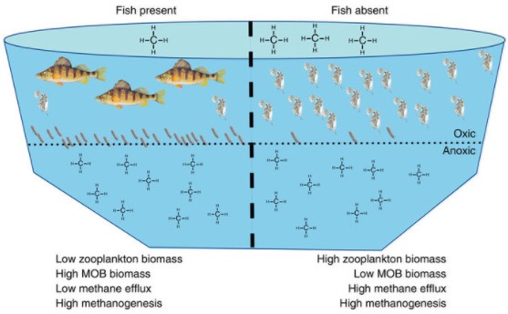 Professor Receives Award