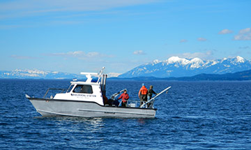 Volunteer Lake Monitoring