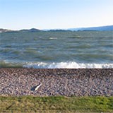Cobble beach protecting from erosion on Flathead Lake