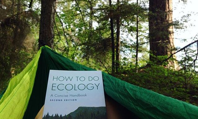 Summer Session 2017 Wraps!