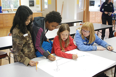 Students draw what they've learned about watersheds